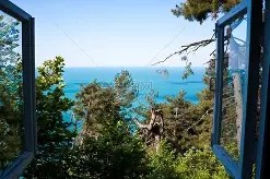 米兰中国 -窗口期社区盾传出新动向，广东宏远伤情更新，管理层表态——赛场秩序良好，球探报告显示潜力 