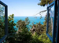 窗口期社区盾传出新动向，广东宏远伤情更新，管理层表态——赛场秩序良好，球探报告显示潜力 